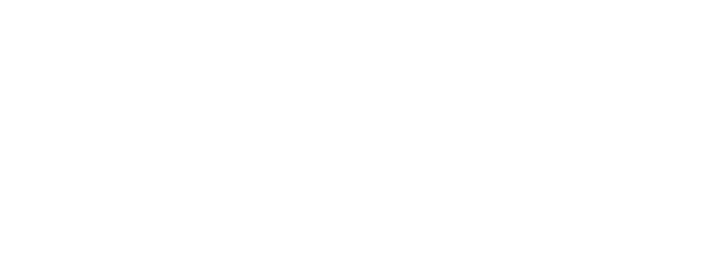 VOGUE Partner Site